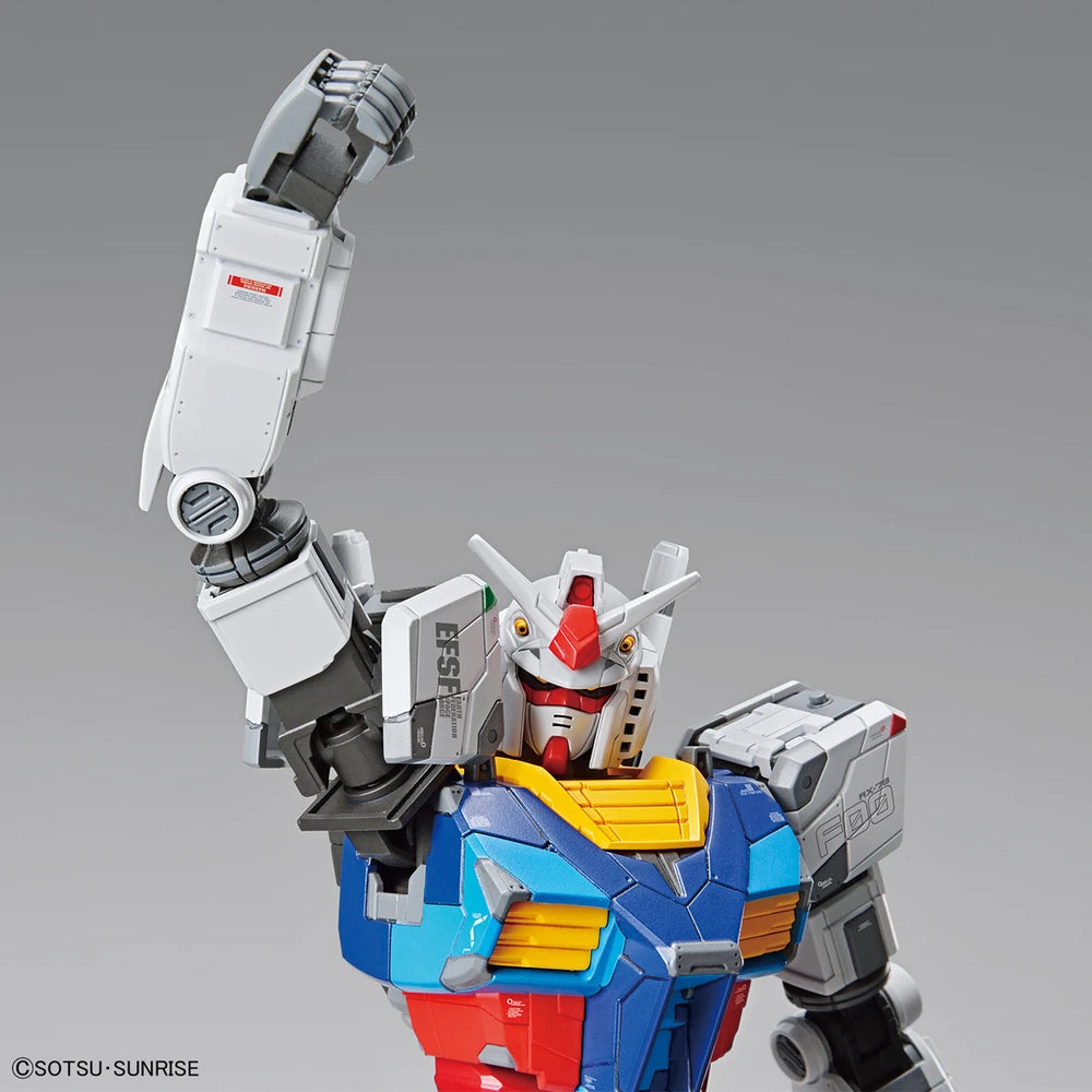 1/100 RX-78F00 GUNDAM (Gundam Factory Yokohama Limited)