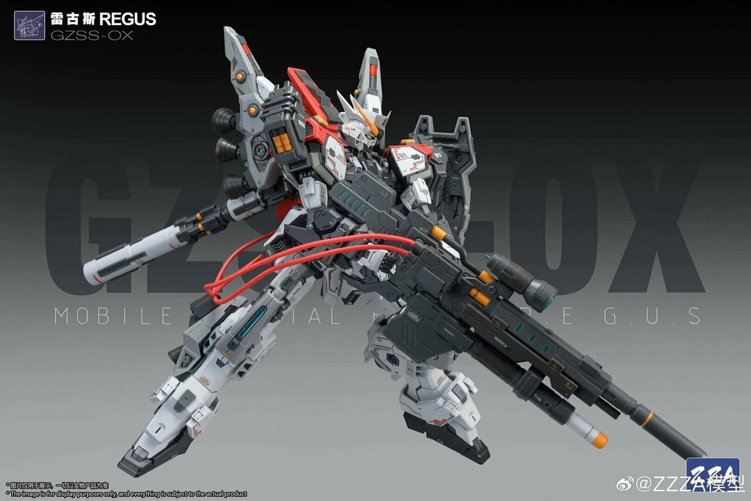 ZZA GZSS-OX01 REGUS