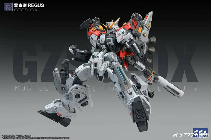 ZZA GZSS-OX01 REGUS