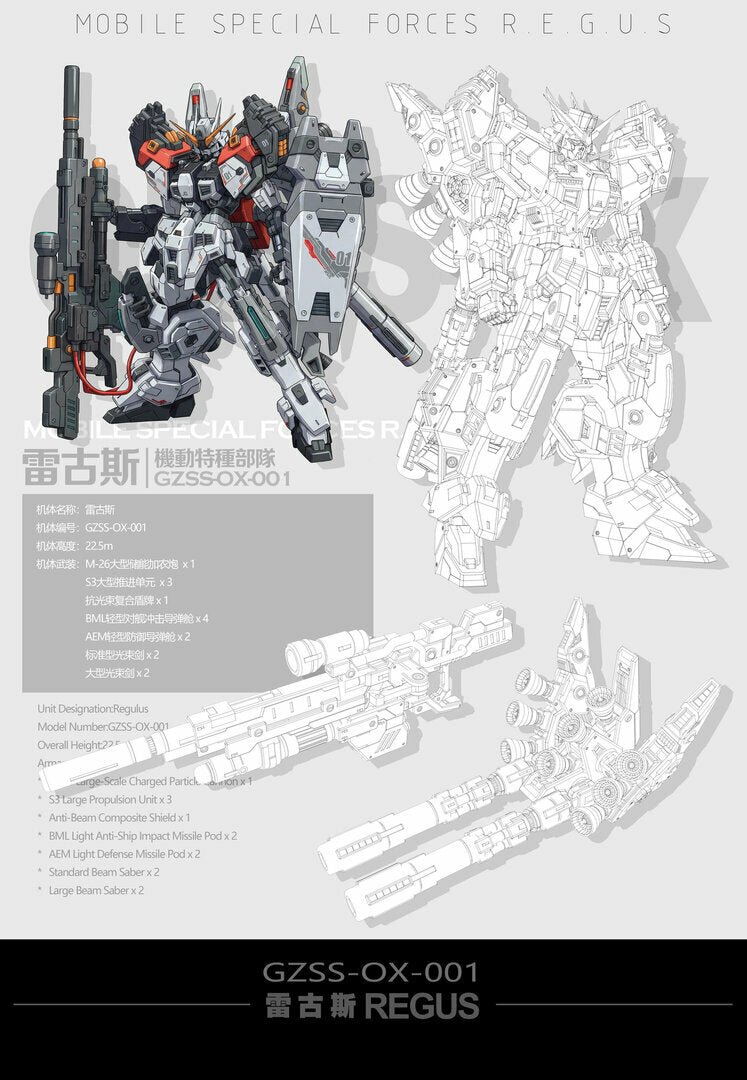 ZZA GZSS-OX01 REGUS