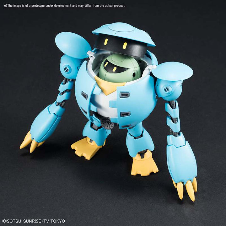 HG MOMOKAPOOL