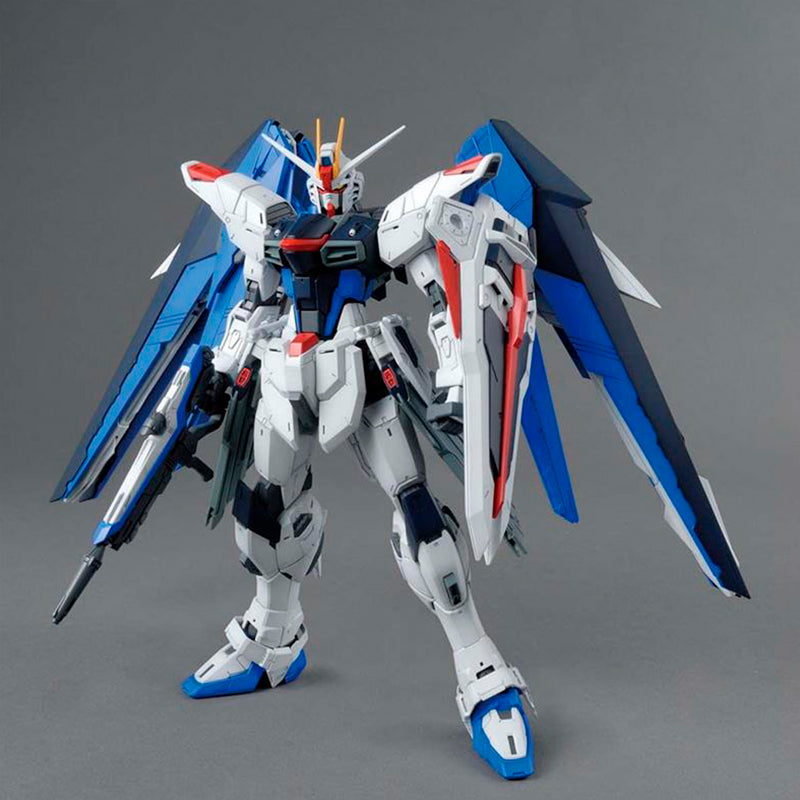 MG ZGMF-X10A FREEDOM GUNDAM VER. 2.0
