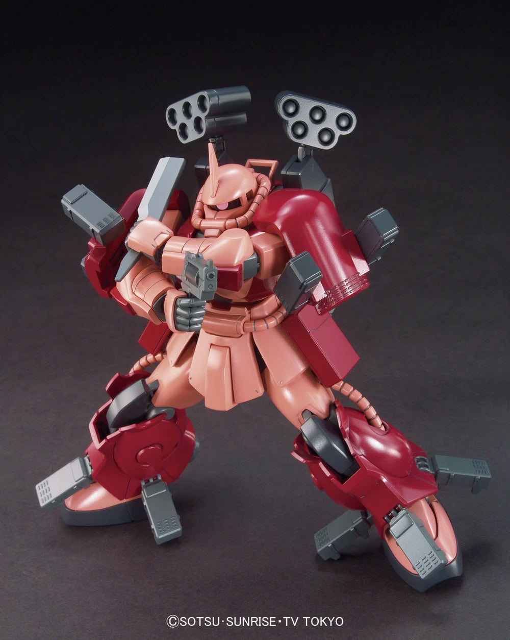 HG MS-06R-AB ZAKU AMAZING