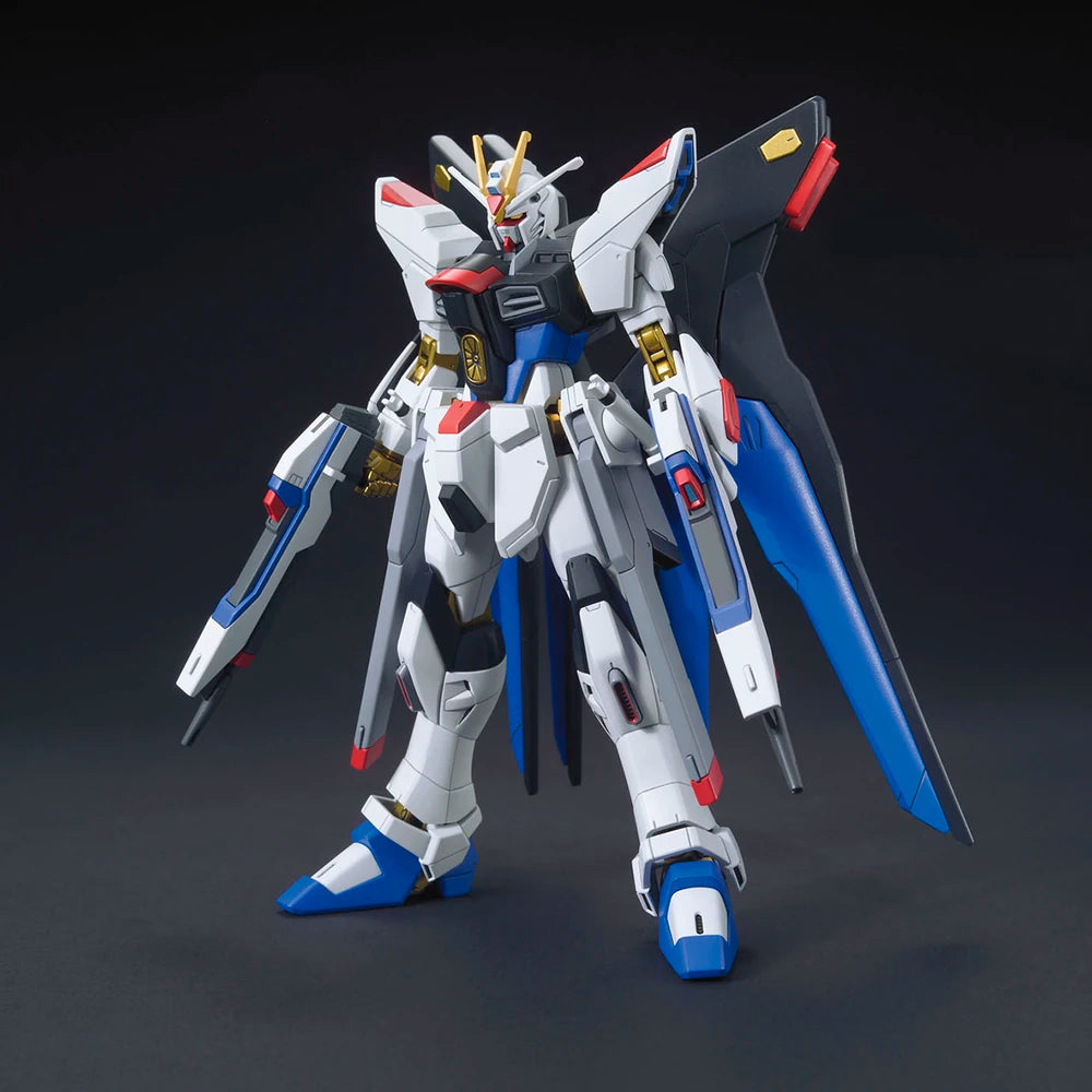 HG ZGMF-X20A STRIKE FREEDOM GUNDAM