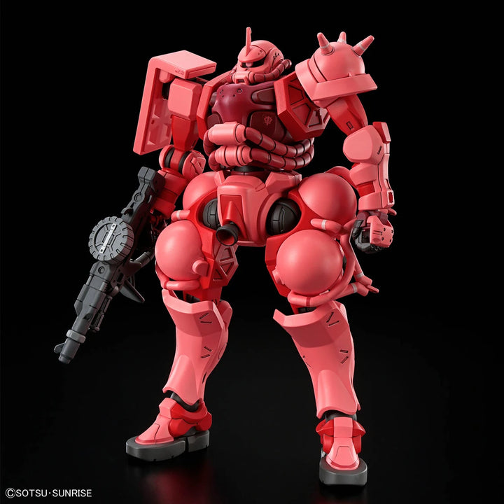 HG MS-06S CHAR&