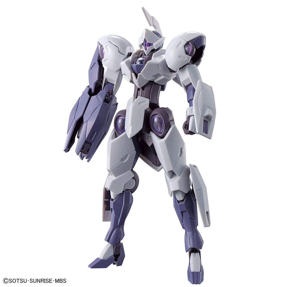 HG CFK-029 MICHAELIS