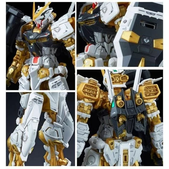 PREMIUM BANDAI RG MBF-P01 GUNDAM ASTRAY GOLD FRAME