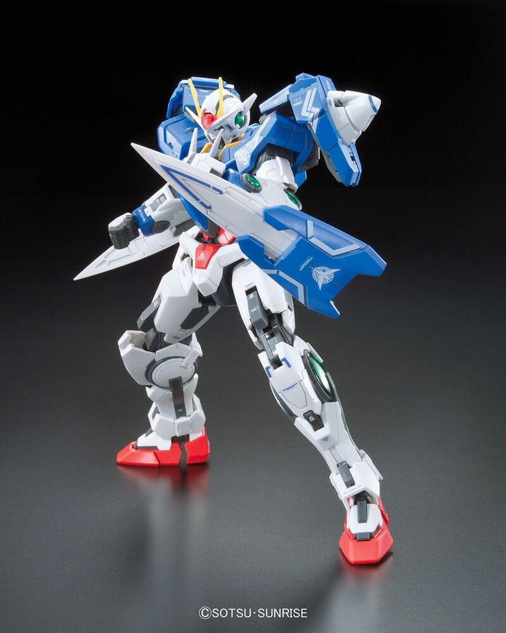 RG GN-0000+GNR-010 00 RAISER