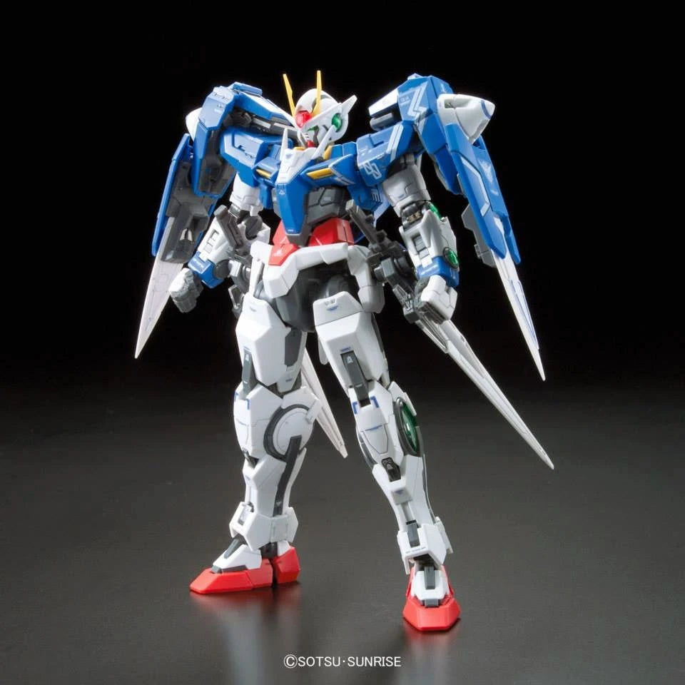 RG GN-0000+GNR-010 00 RAISER