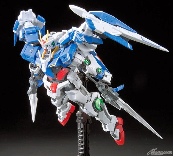 RG GN-0000+GNR-010 00 RAISER