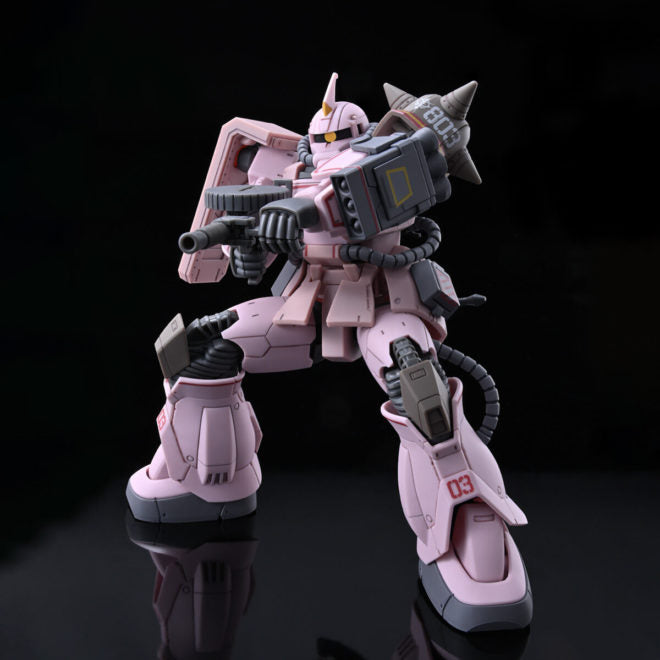 PREMIUM BANDAI HG MS-06D Zaku Desert Type Pink Panther Forces