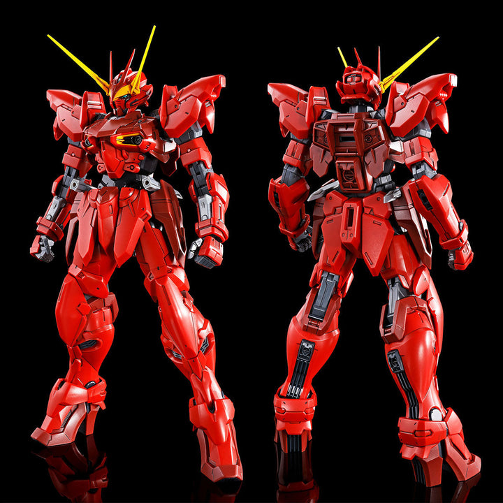 PREMIUM BANDAI MG RGX-00 TESTAMENT GUNDAM