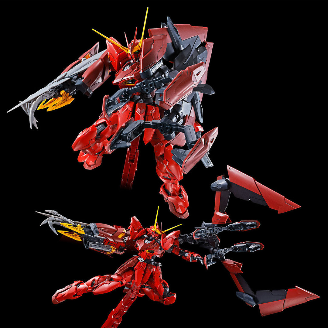 PREMIUM BANDAI MG RGX-00 TESTAMENT GUNDAM