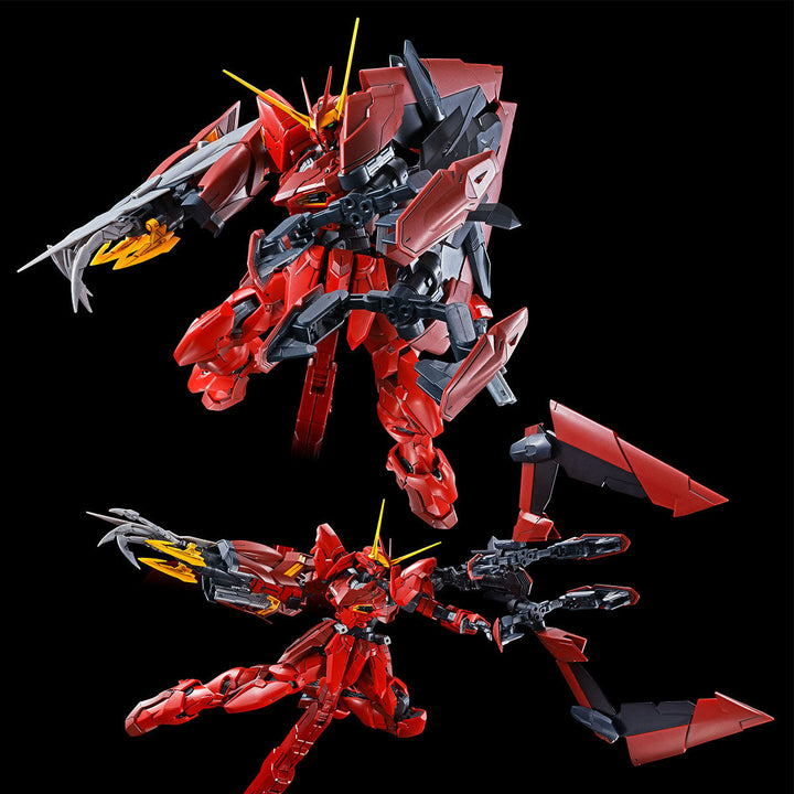 PREMIUM BANDAI MG RGX-00 TESTAMENT GUNDAM